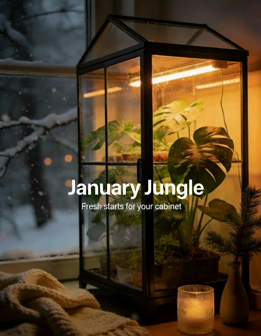 🌱January Jungle: Fresh Starts for Your IKEA Greenhouse Cabinet