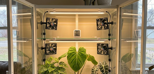 🌱 March Into Spring: Wake Up Your Indoor Greenhouse Cabinet